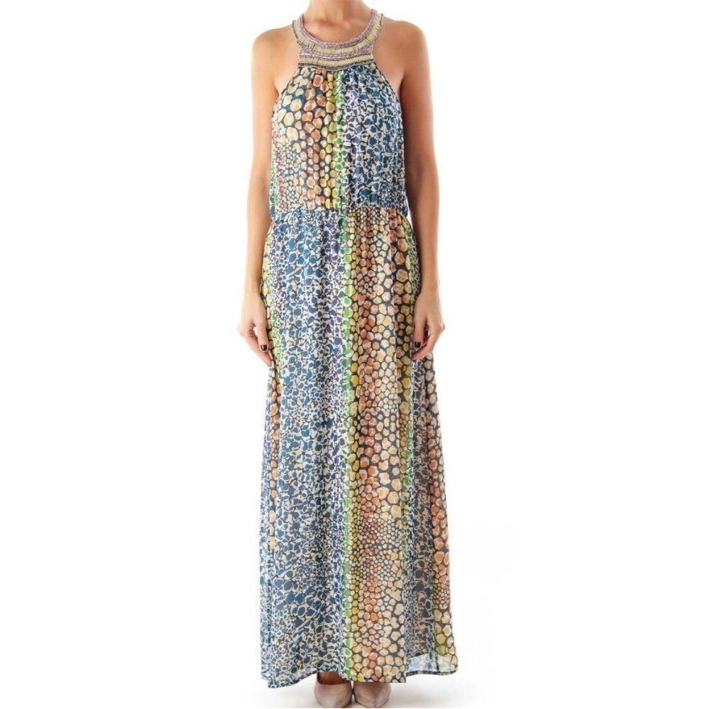 Anthropologie HD in Paris Mayacamas Mosaic Embellished Maxi Dress Size 4